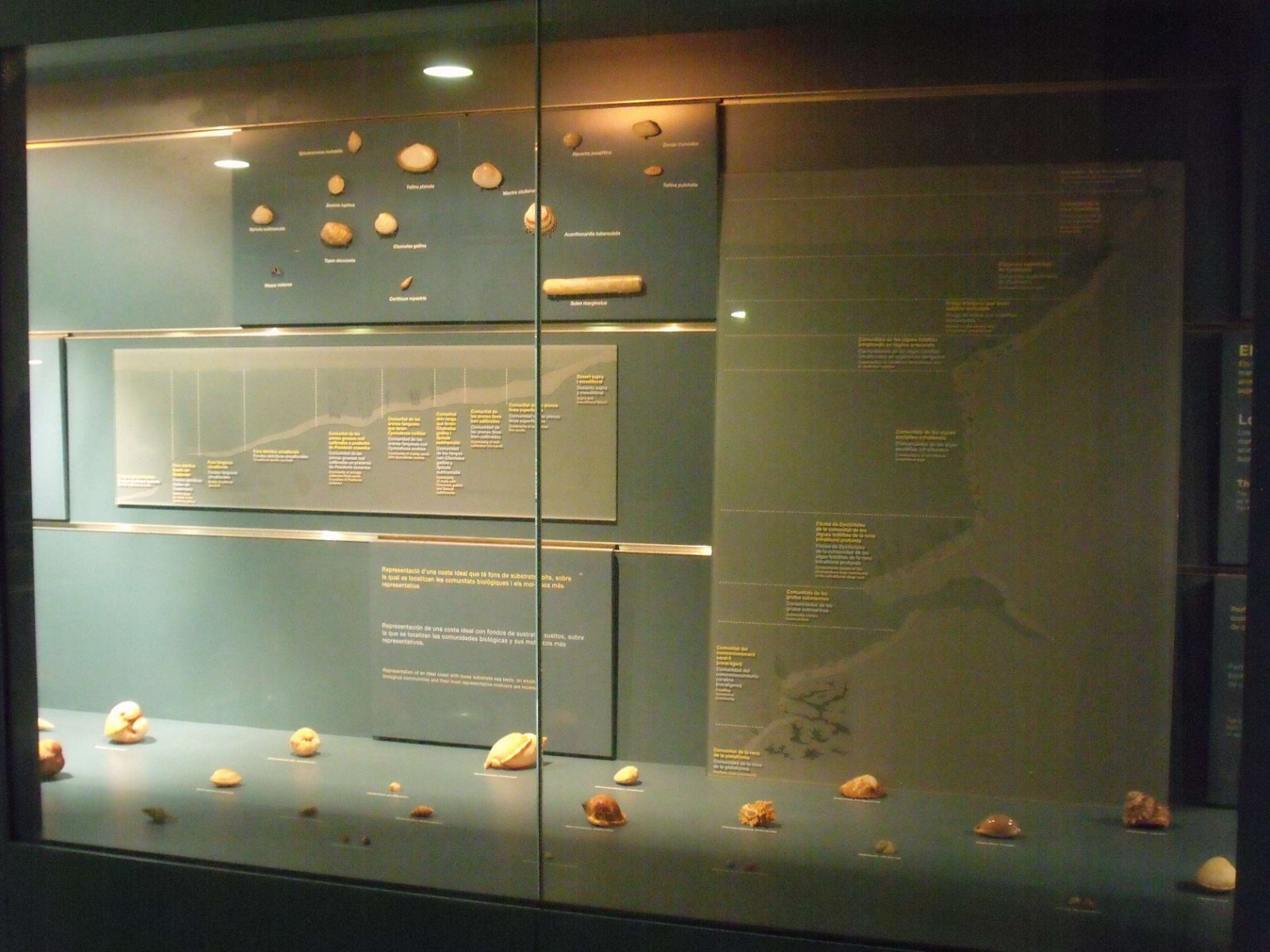 Museum of Natural Science