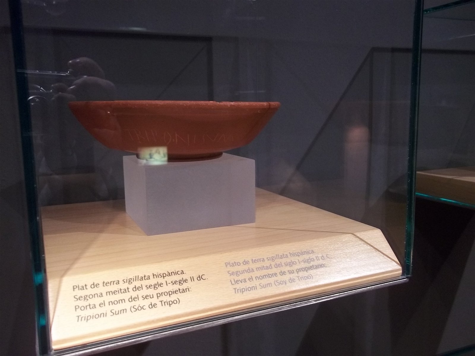 MUHBA Plaça del Rei