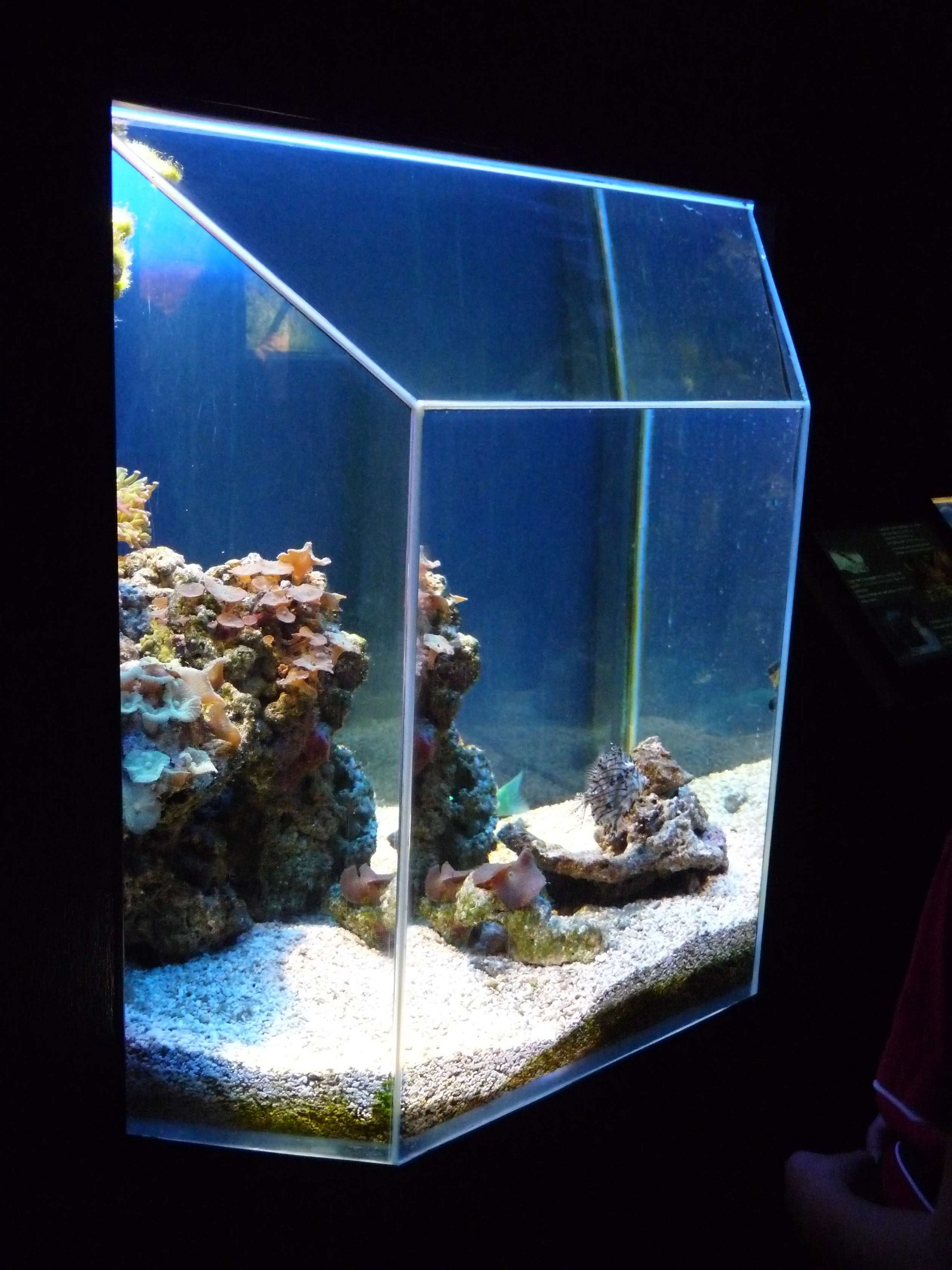 Aquaria Water Museum