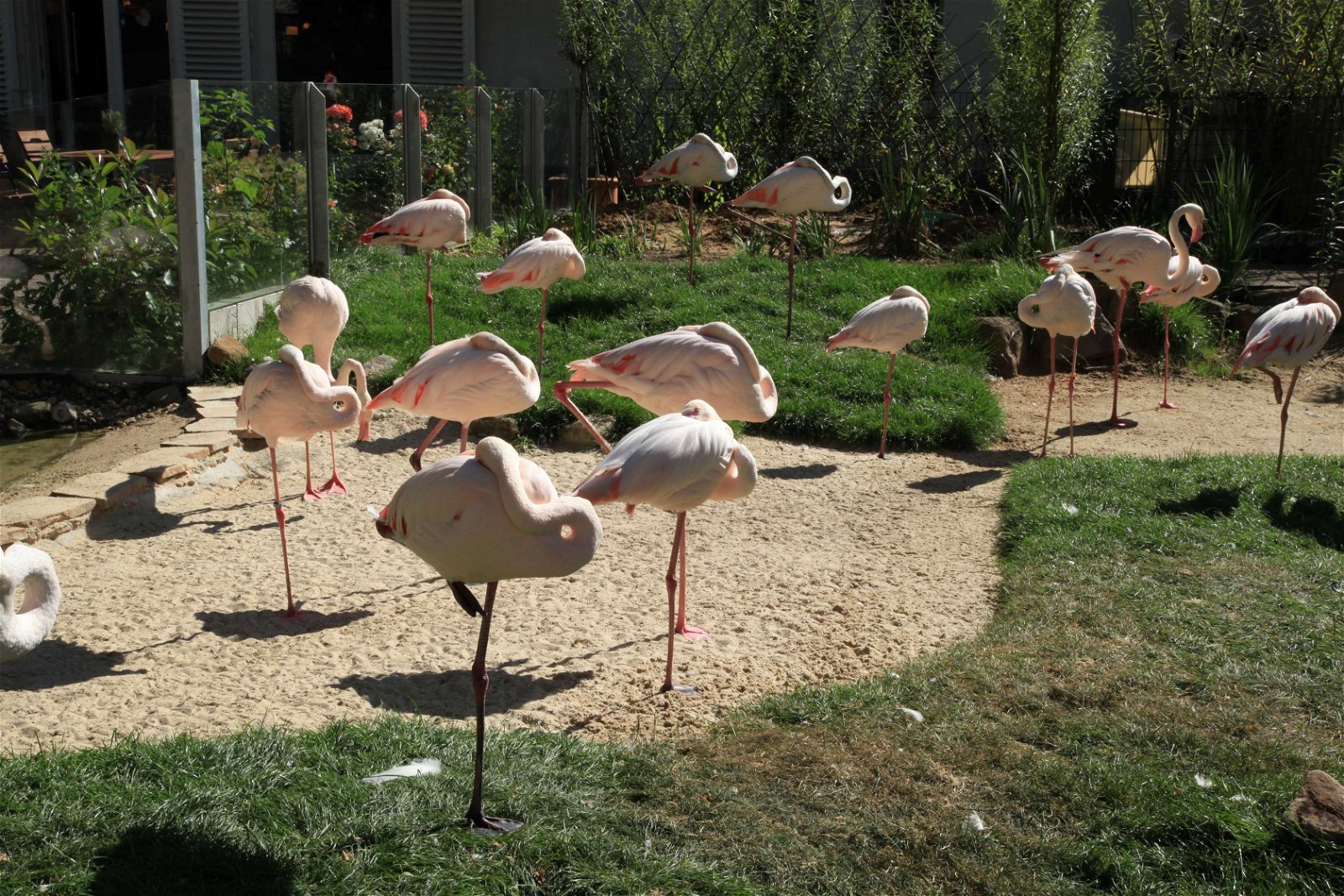 Tierpark und Fossilium Bochum