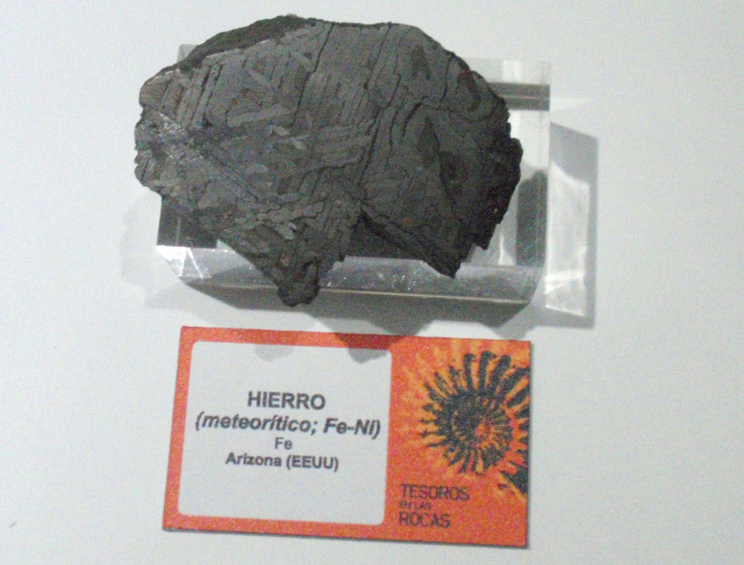 Museo Elder de la Ciencia y la Tecnología