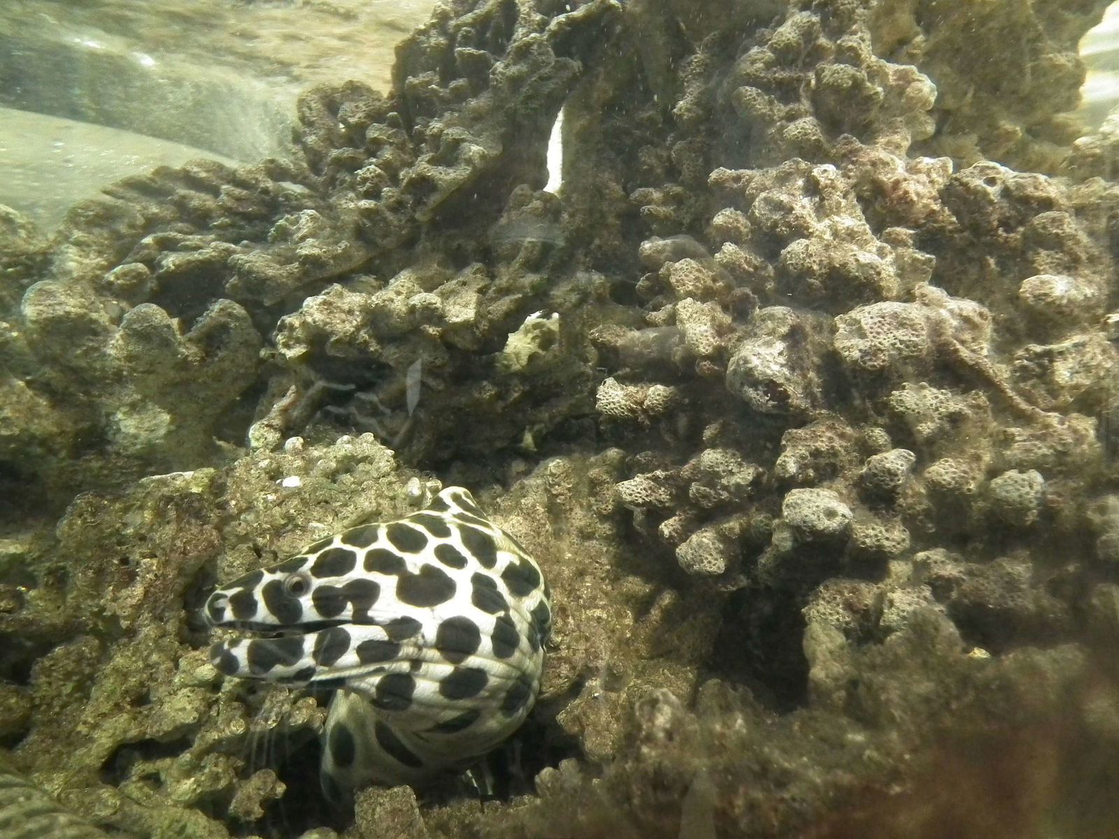 Aquarium and Museum of Natural History in Krakow