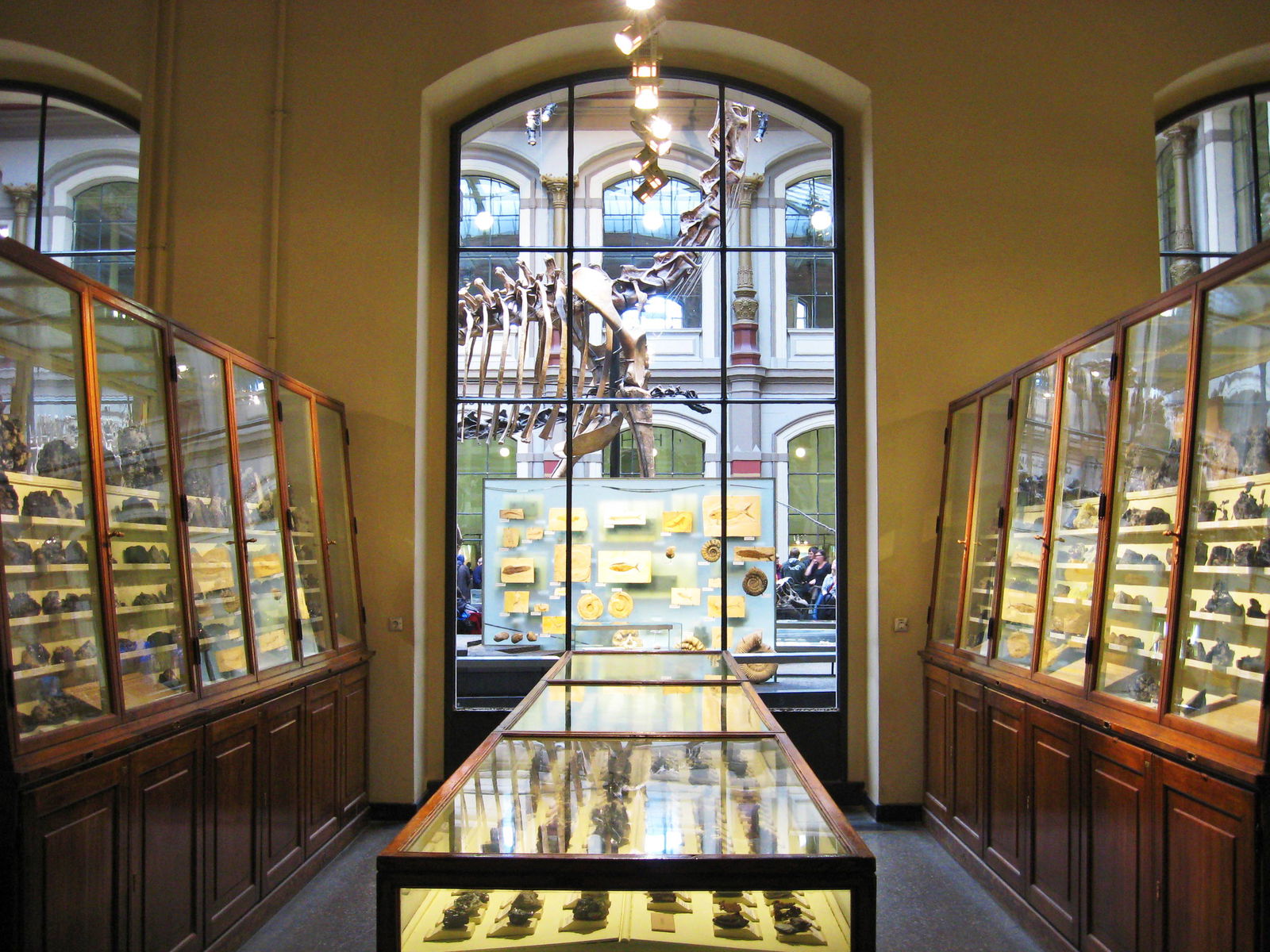 Museum für Naturkunde