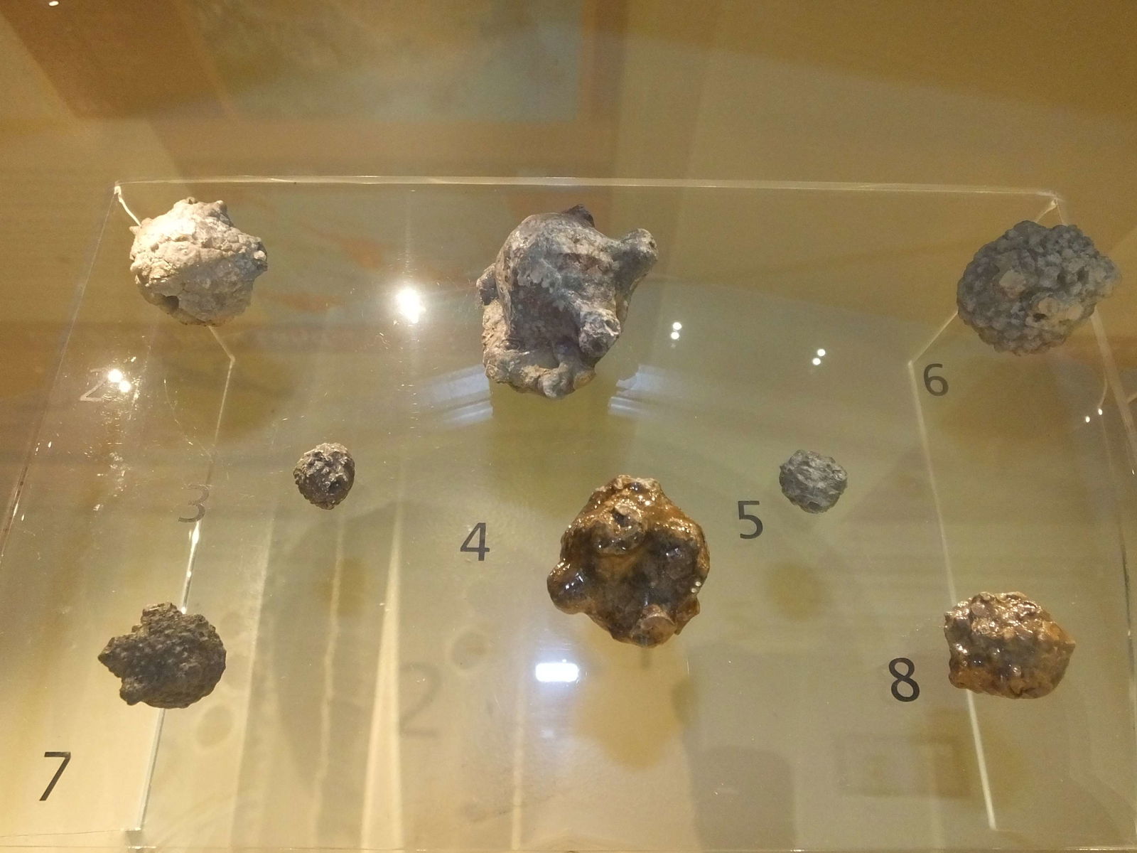 Clitheroe Castle Museum