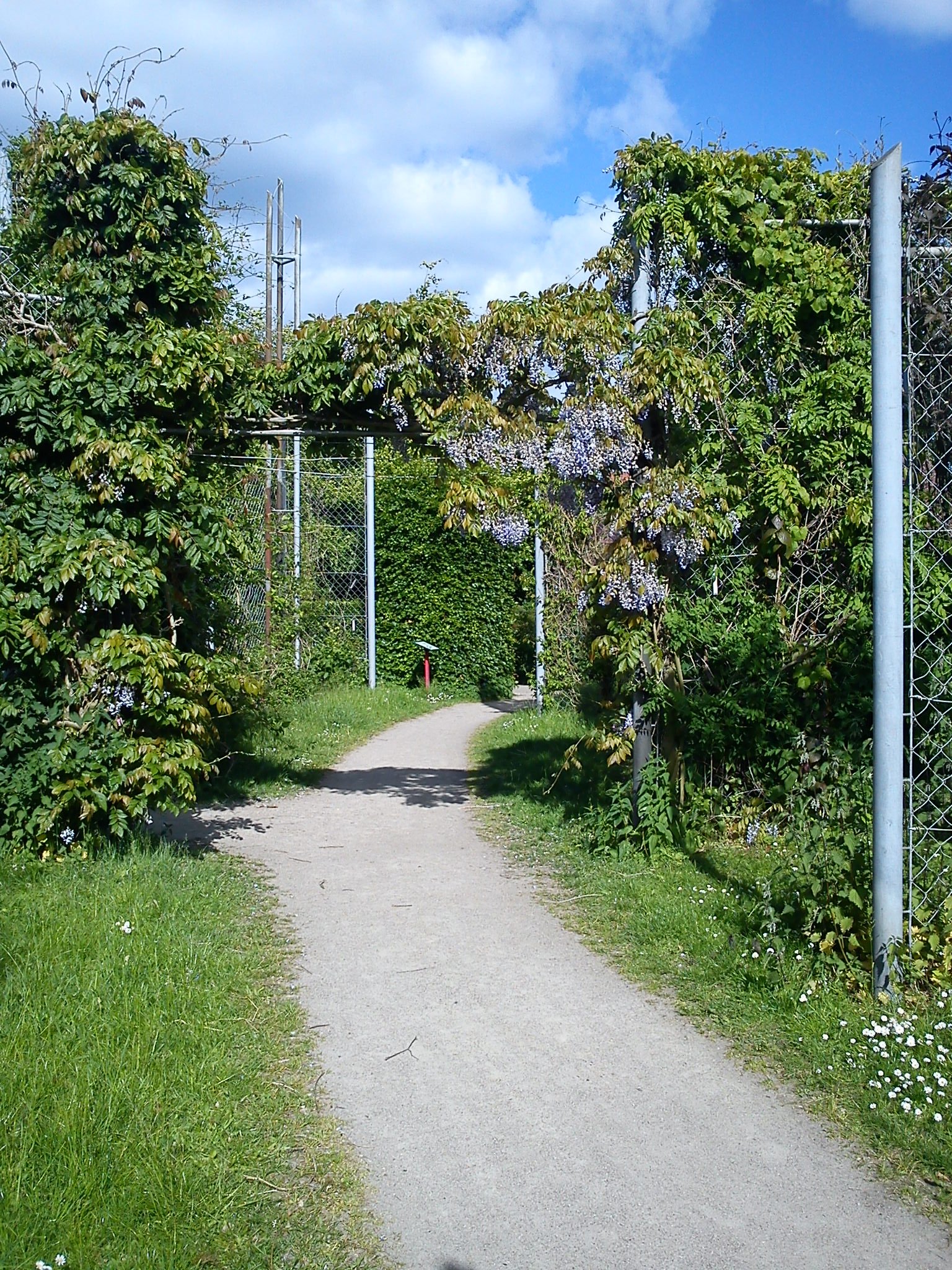 Aarhus Botanical Gardens