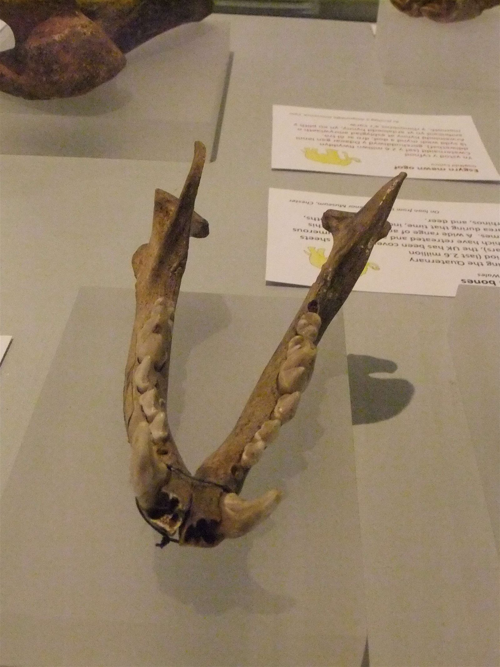 Wrexham County Borough Museum and Archives