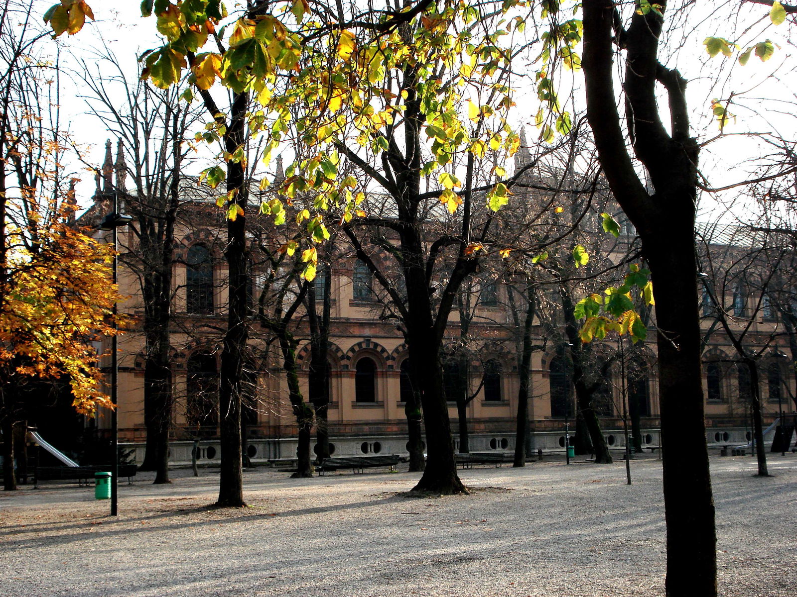 Civico Museo di Storia Naturale