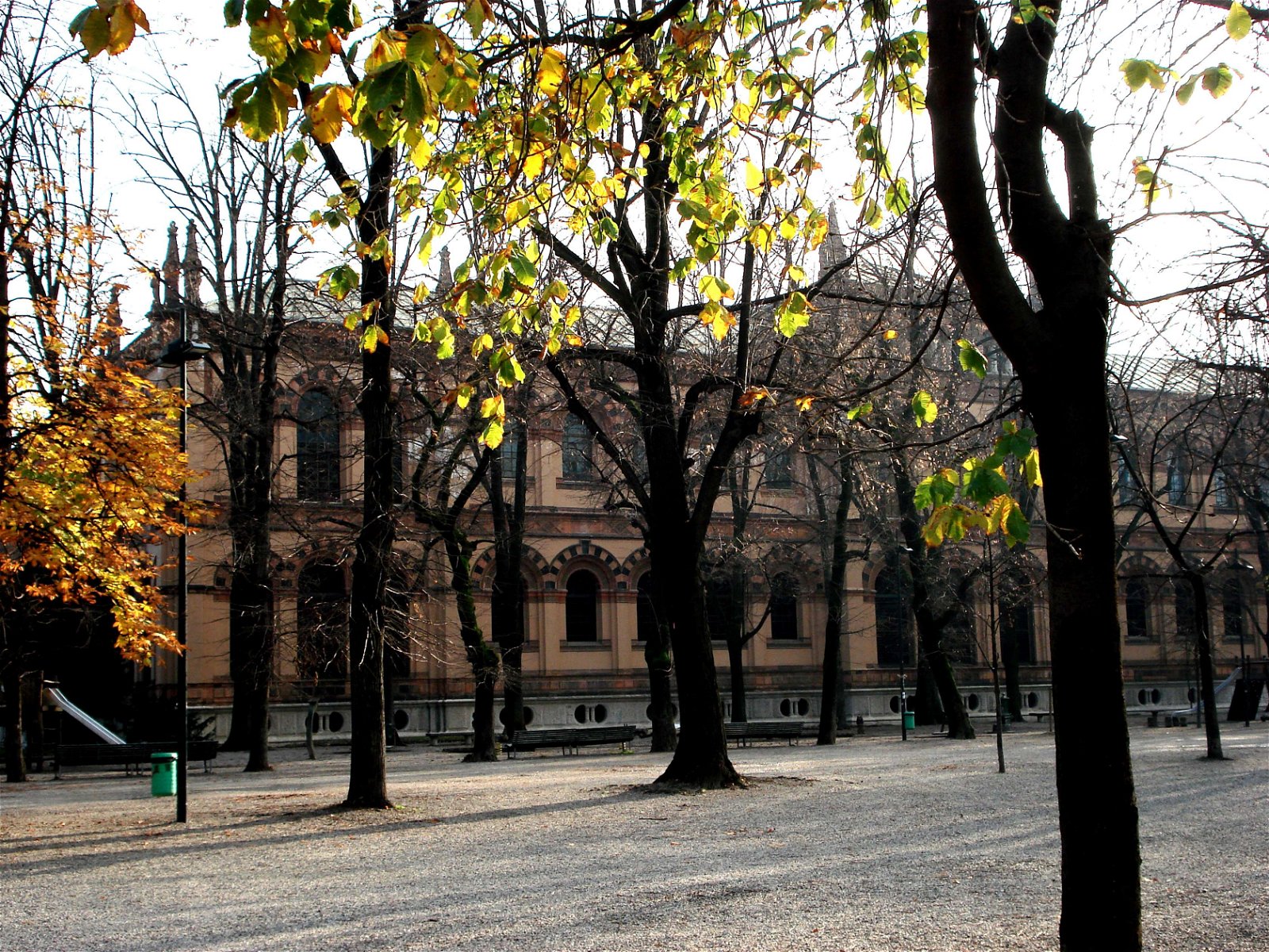 Museum of Natural History