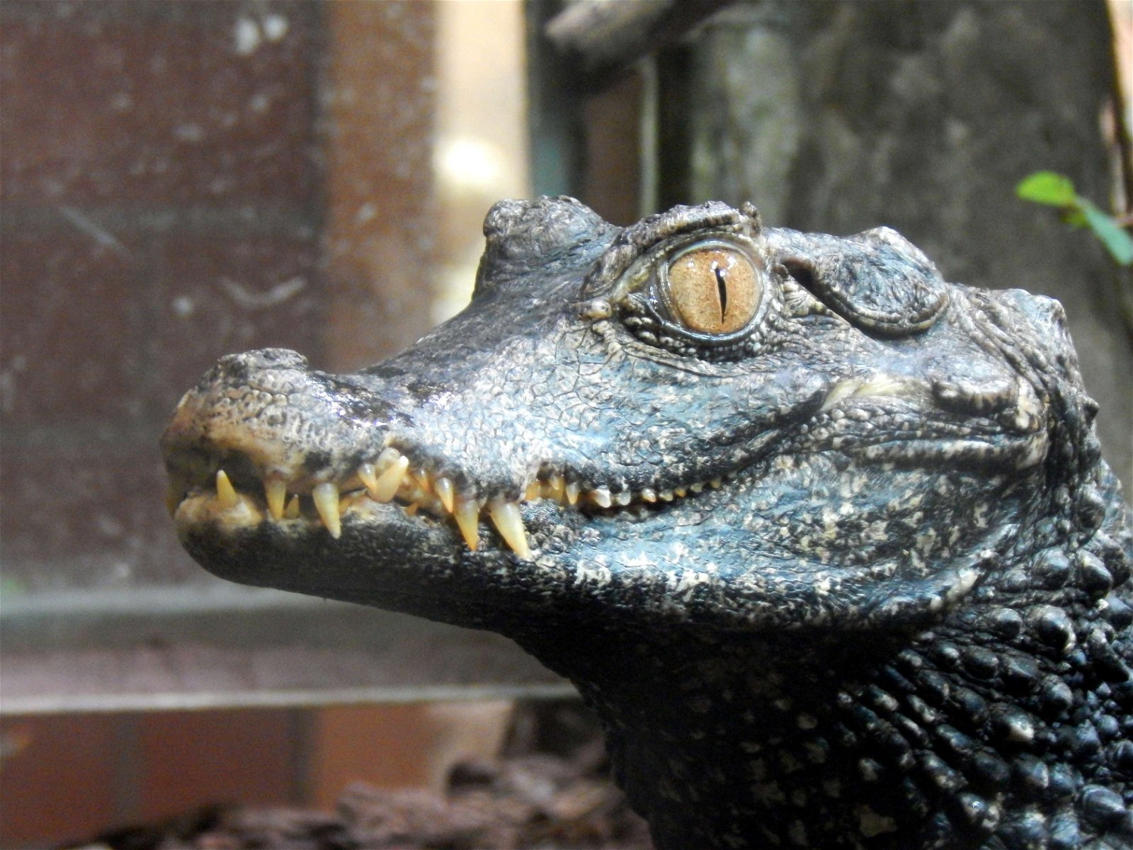 Tierpark und Fossilium Bochum