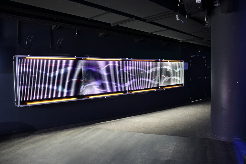 Aquarium de Paris - CineAqua