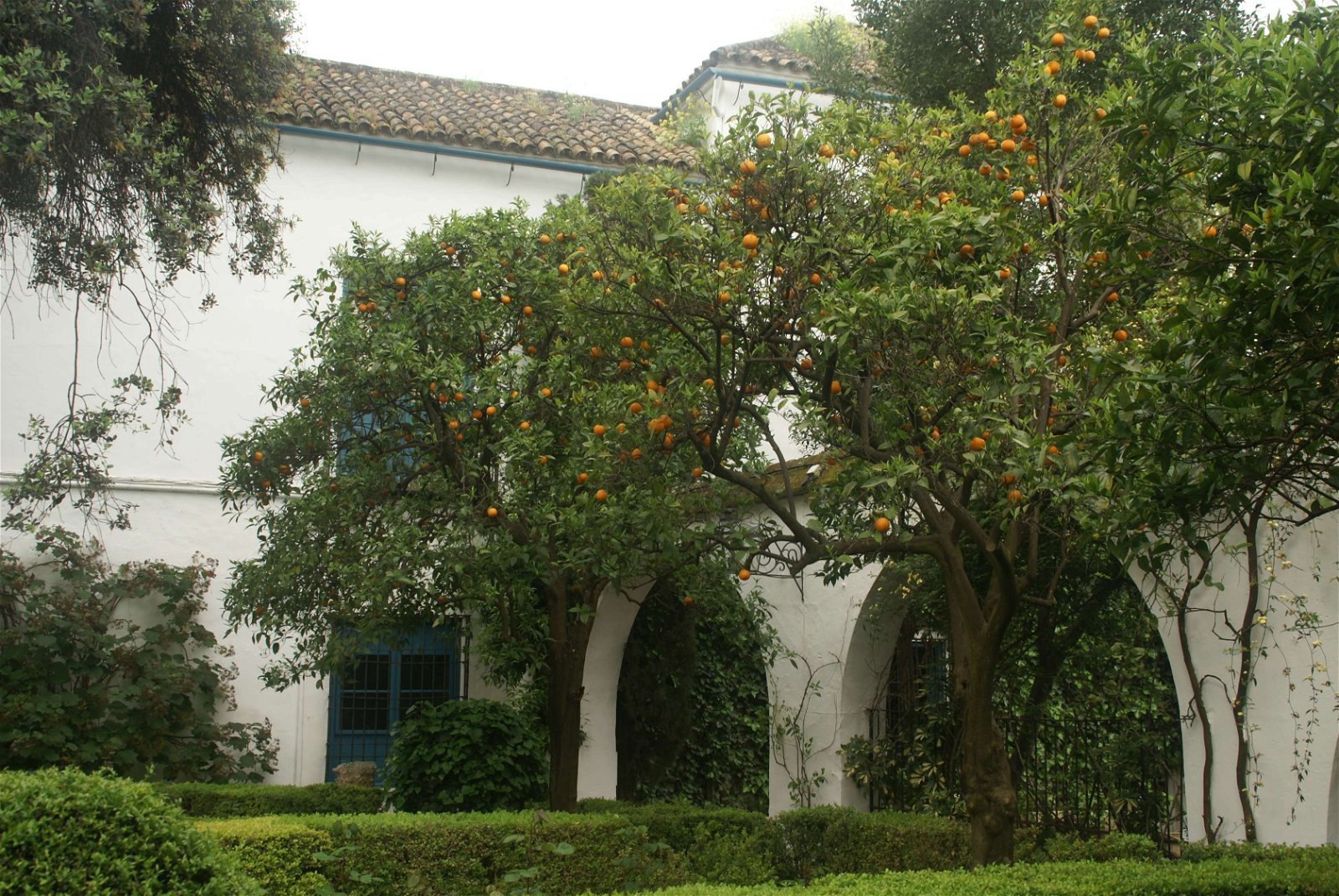 Palacio-Museo de Viana