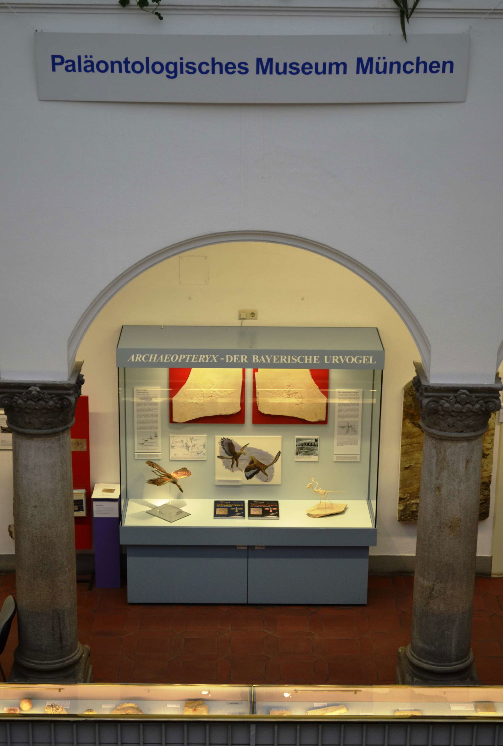 Paleontological Museum Munich