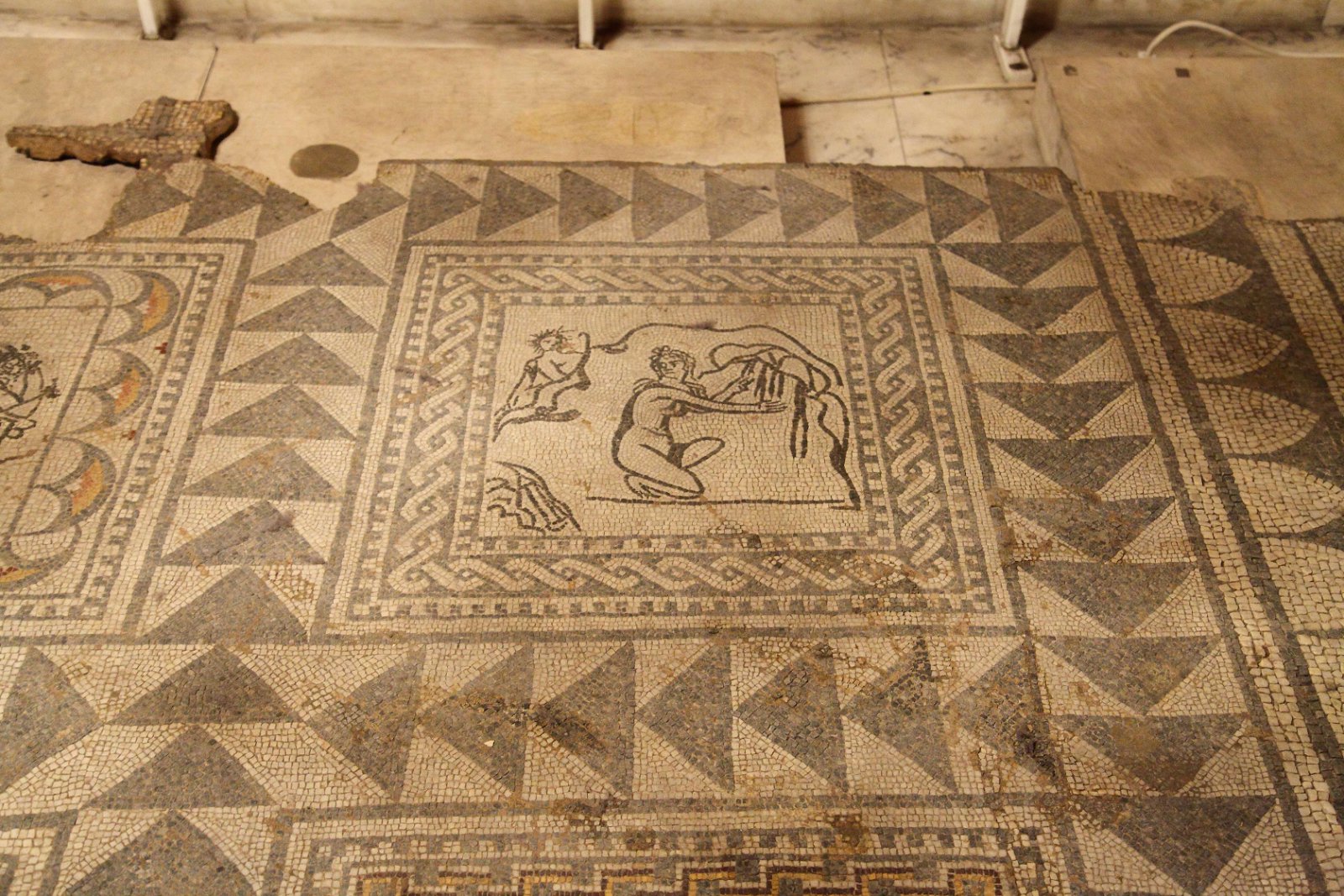 National History Museum