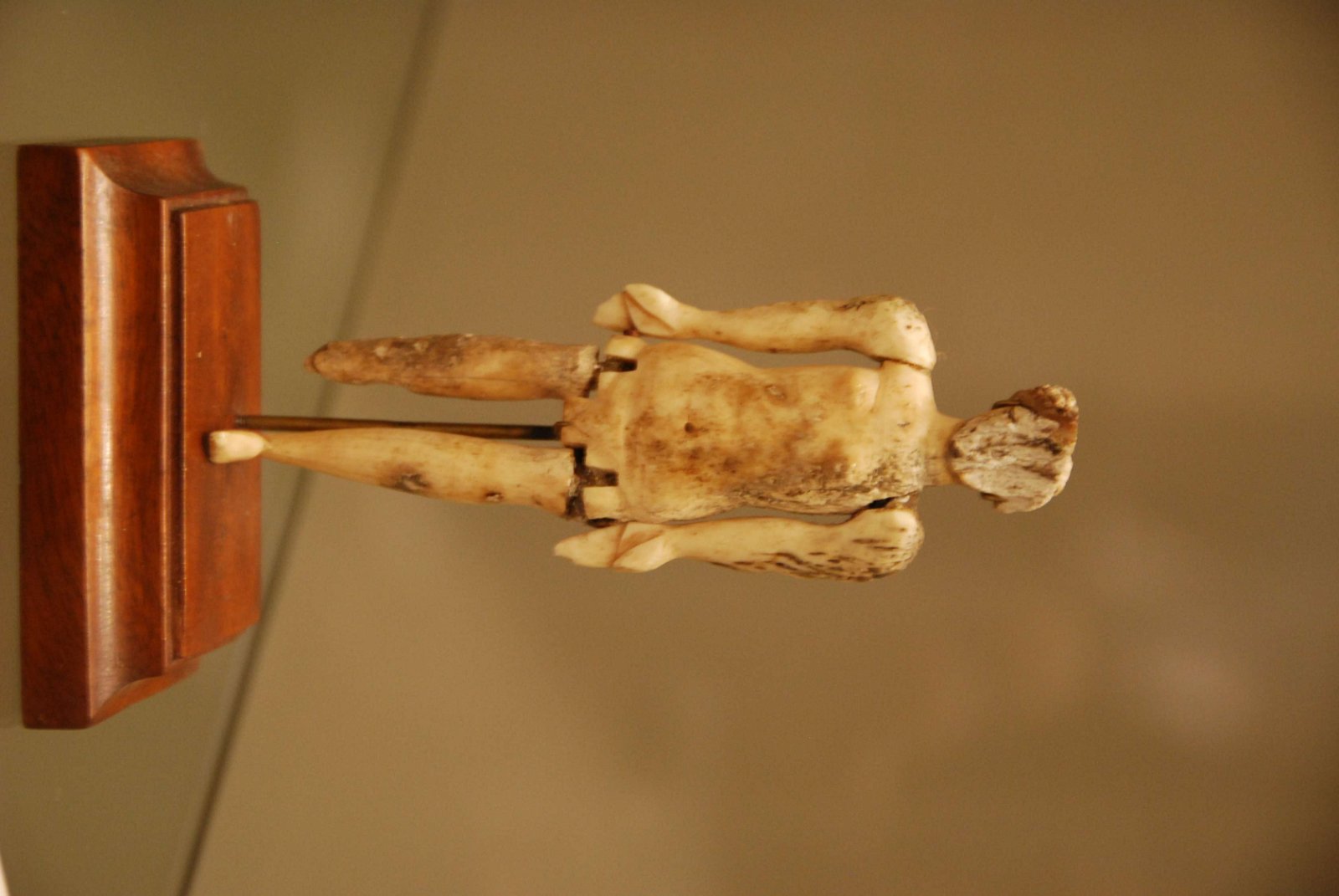 Antiquarium Alda Levi