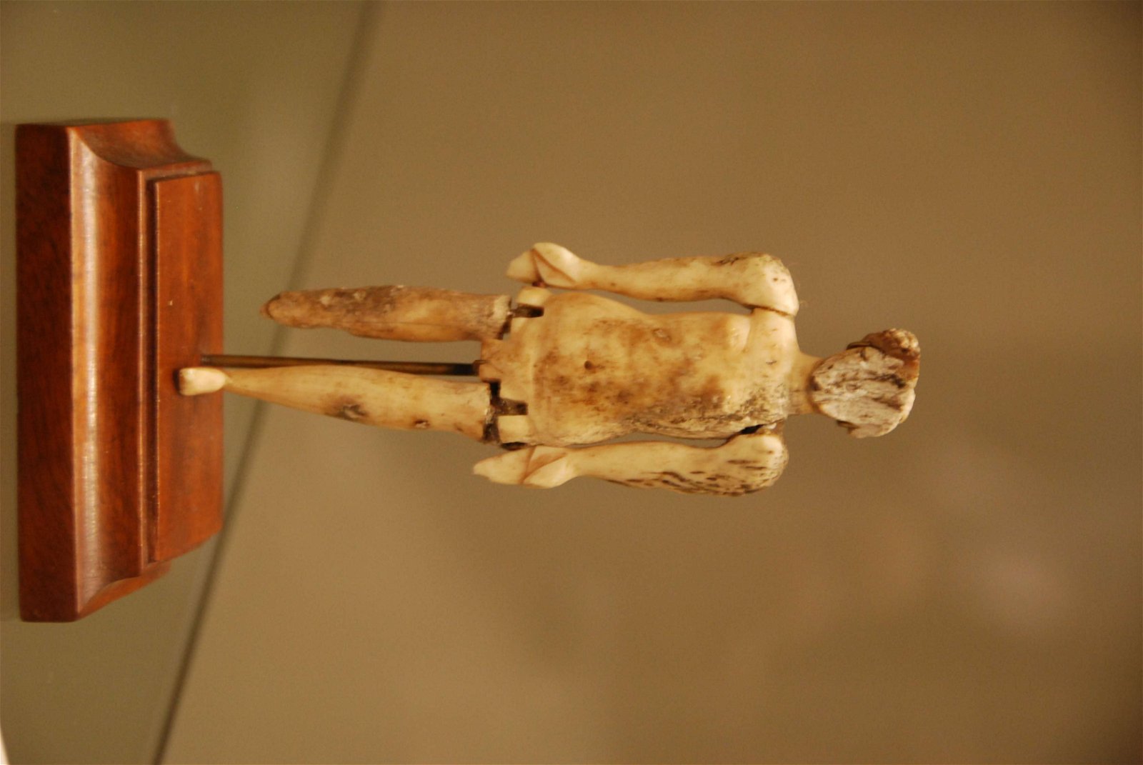 Antiquarium Alda Levi