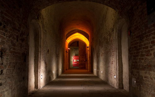 Palais du Coudenberg