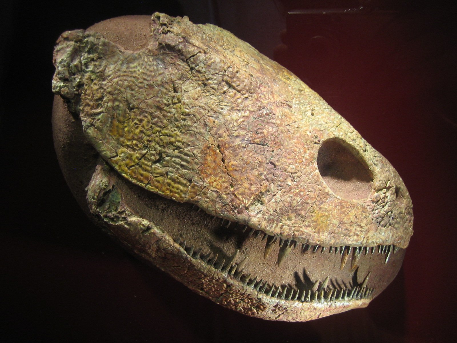 CosmoCaixa Barcelona