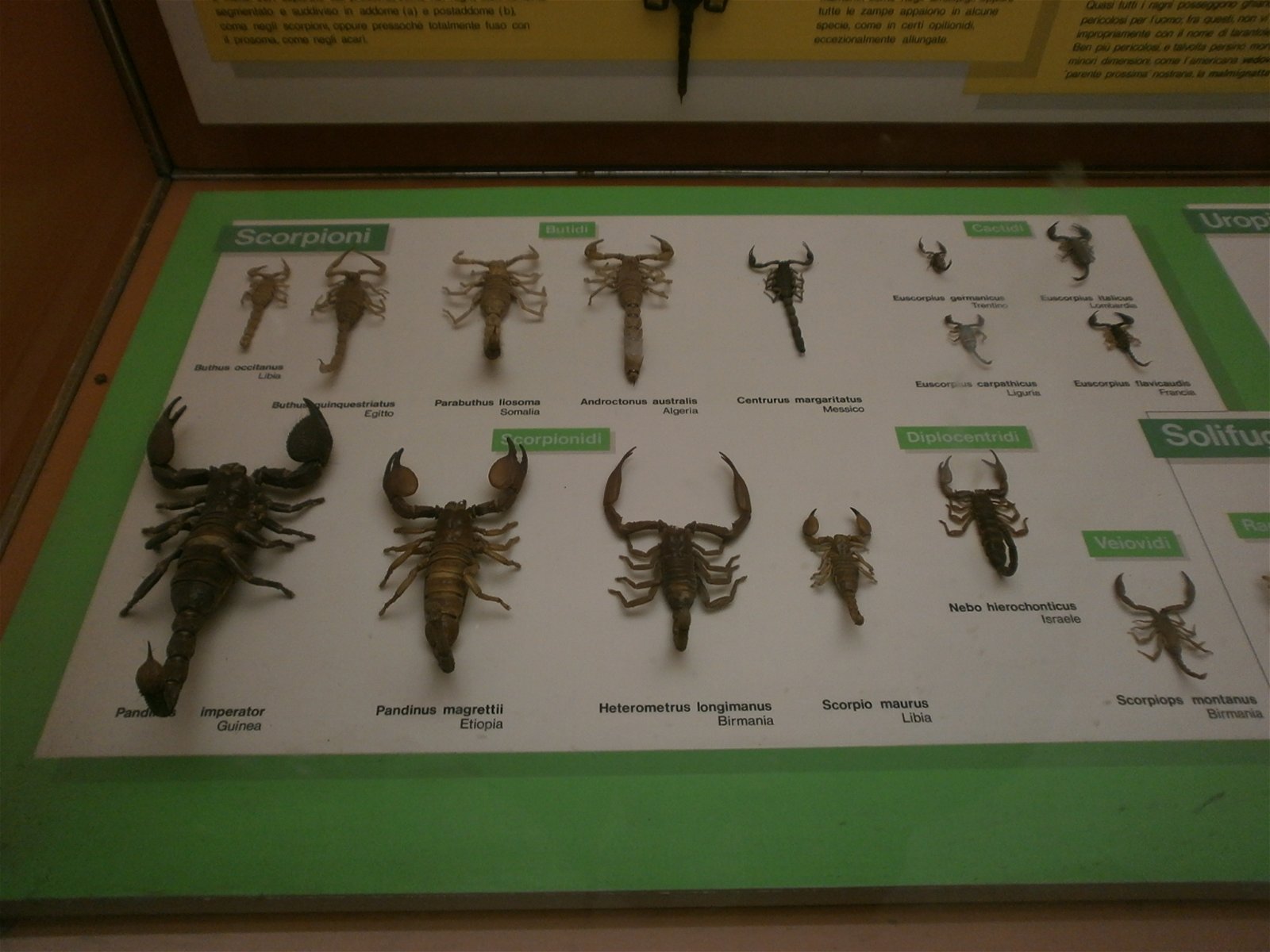 Museum of Natural History