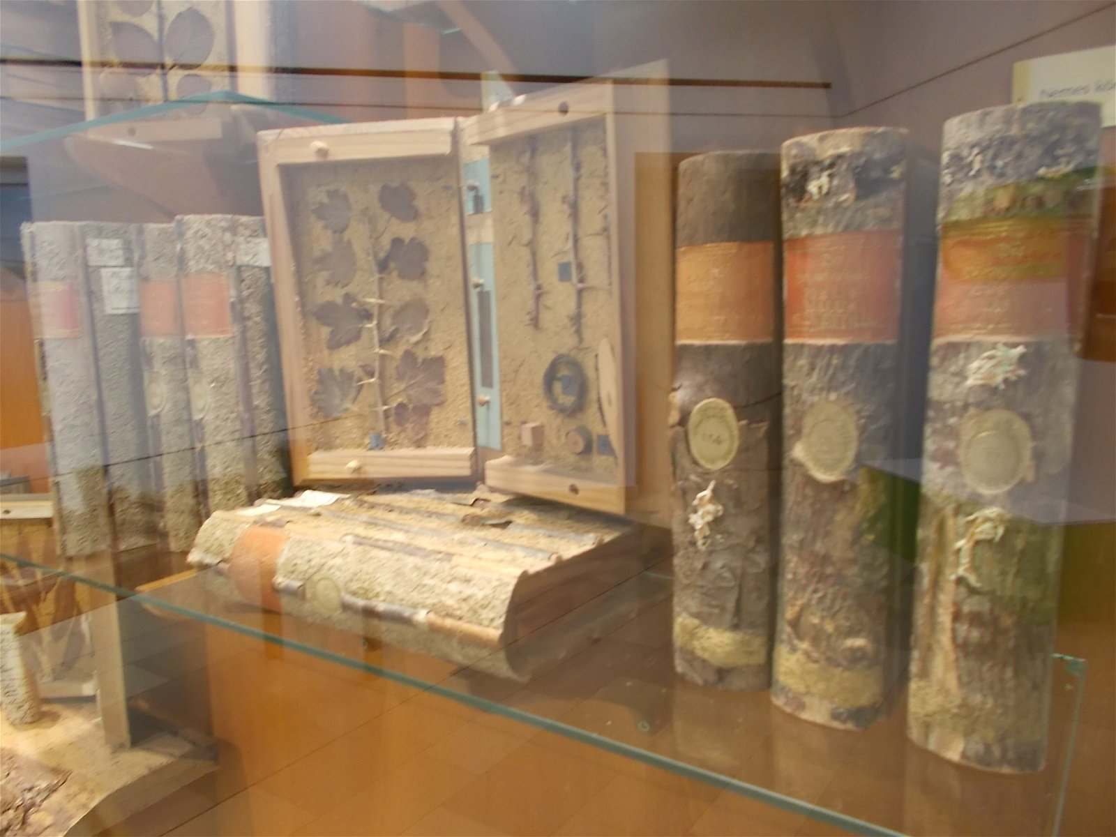 Hungarian Natural History Museum