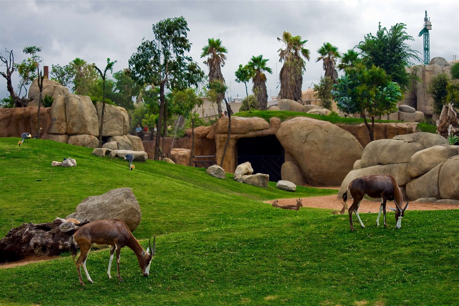 Bioparc Valencia