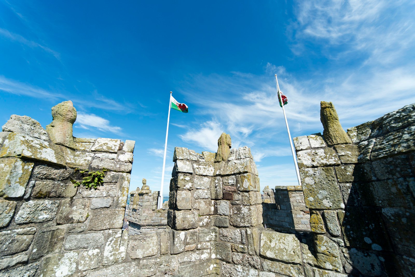 Caernarfon Castle