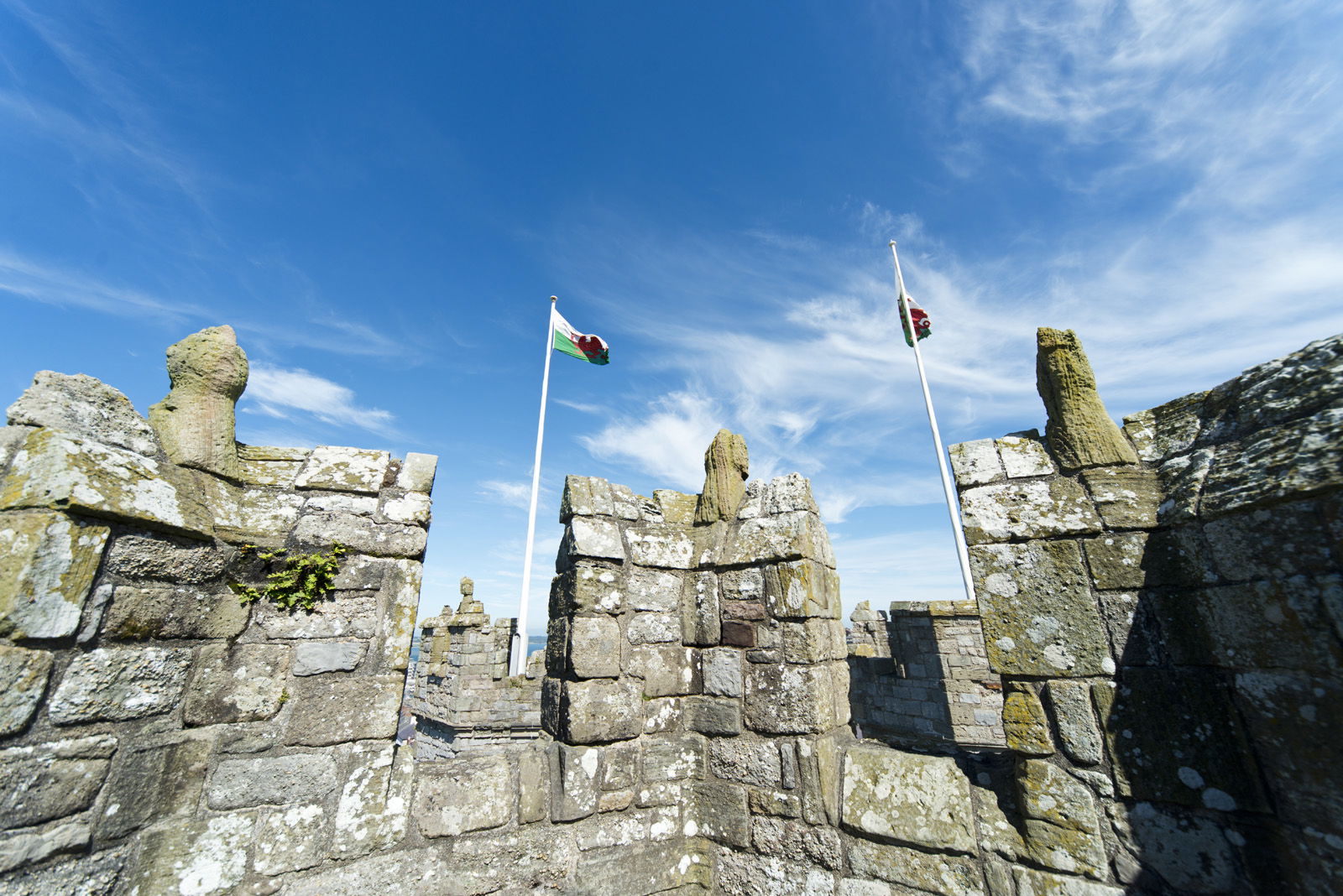 Castello di Caernarfon