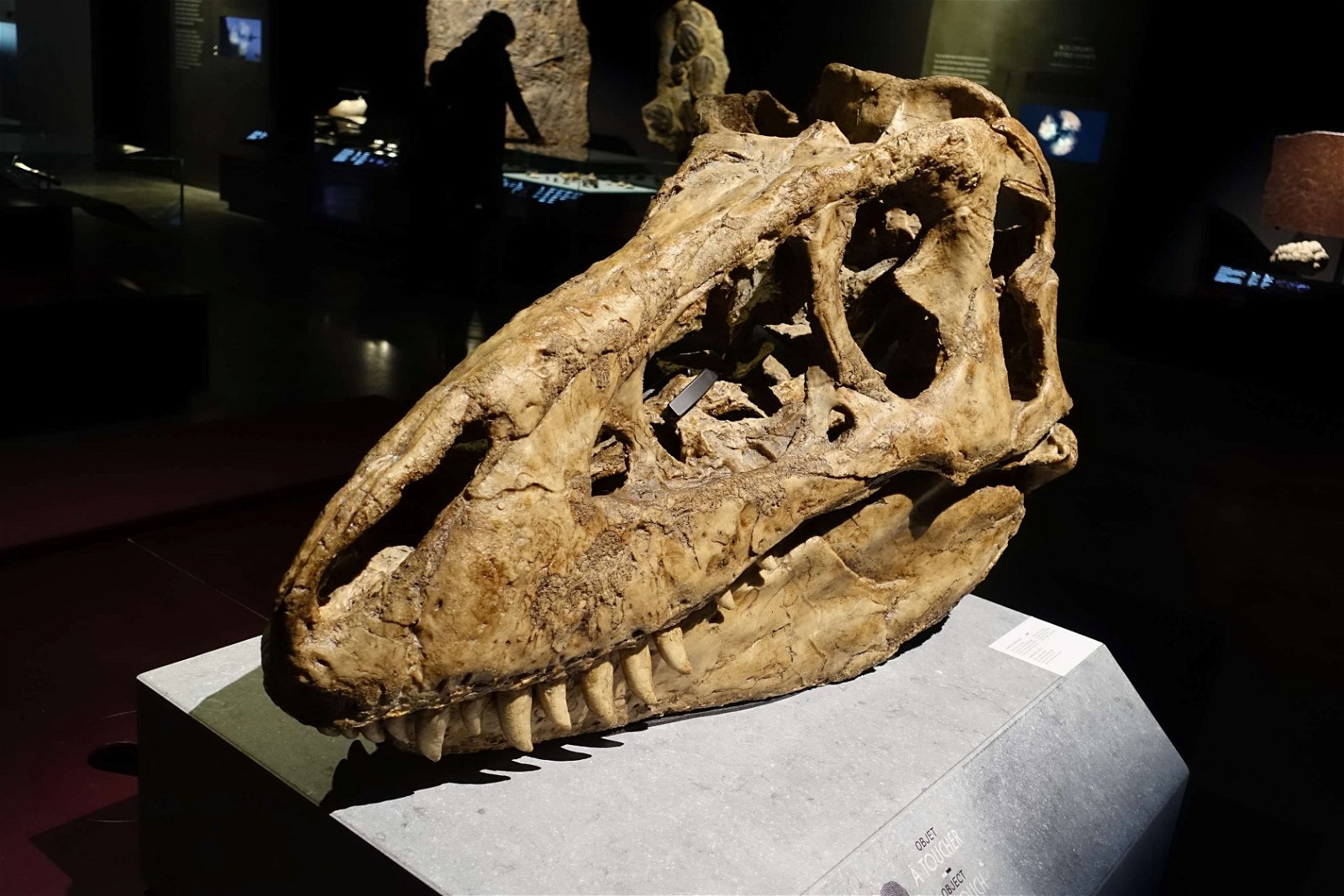 Musée des Confluences