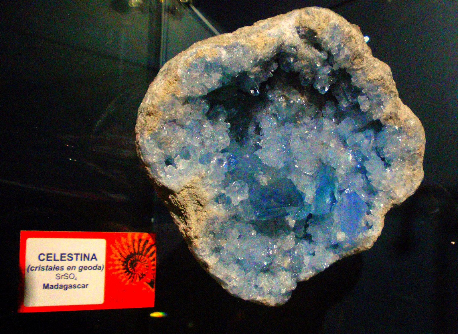 Museo Elder de la Ciencia y la Tecnología