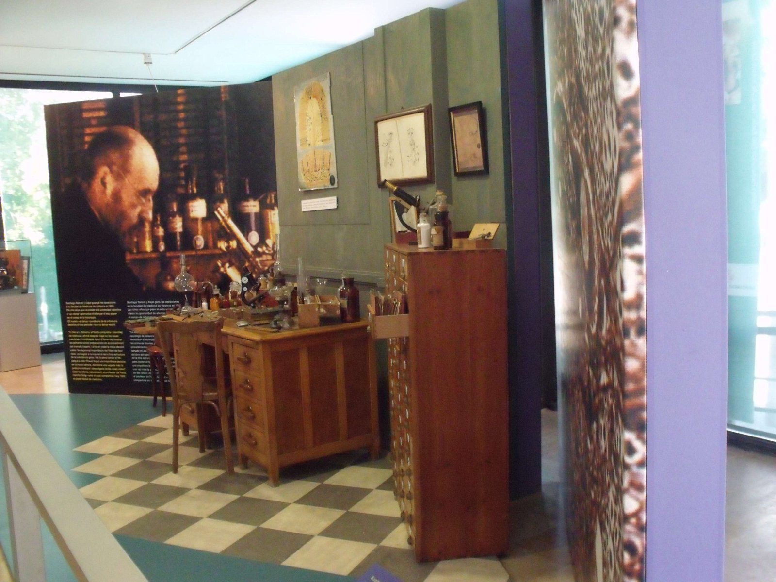 Museum of Natural Science