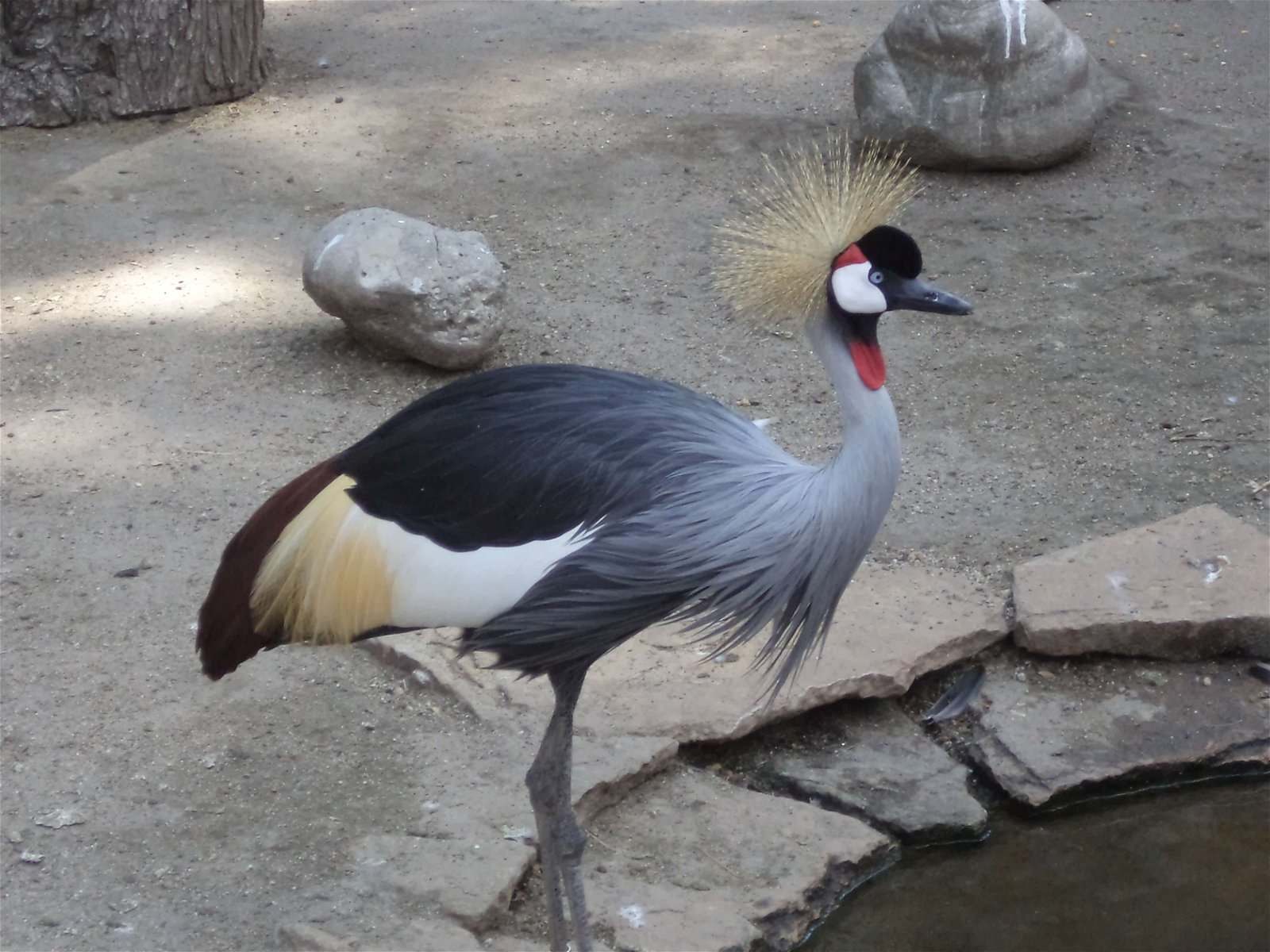 Budapest Zoo and Botanical Garden