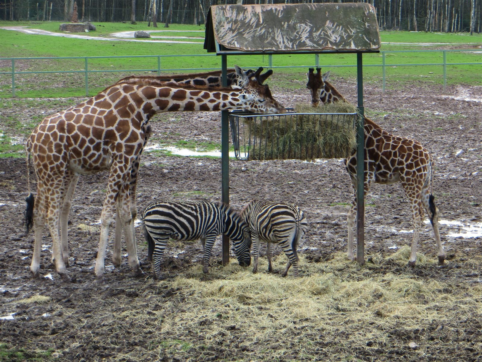 Monde Sauvage Safaripark
