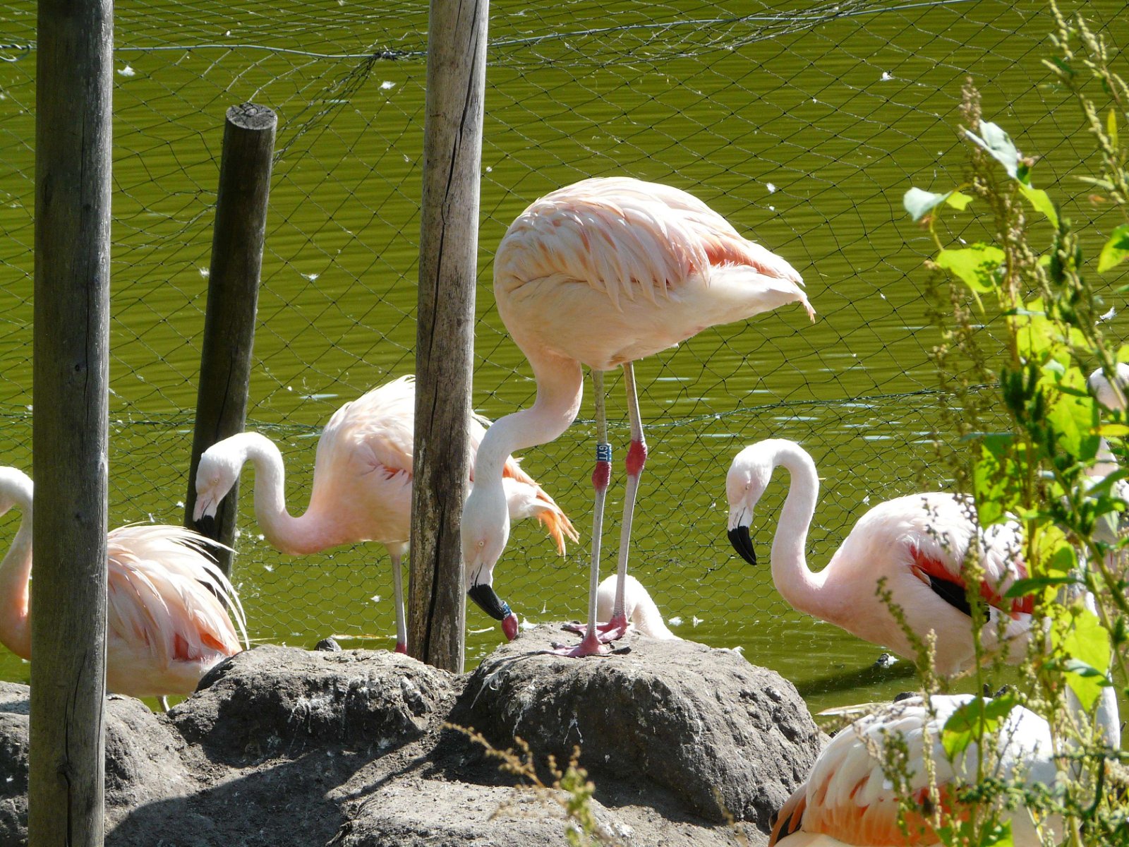 Zoo Poznań