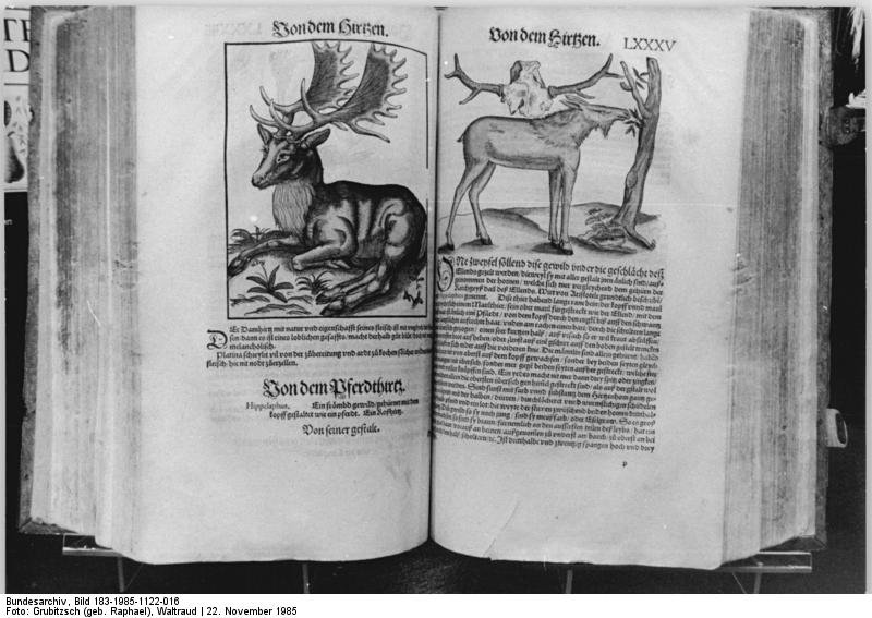 German Museum of Books and Writing