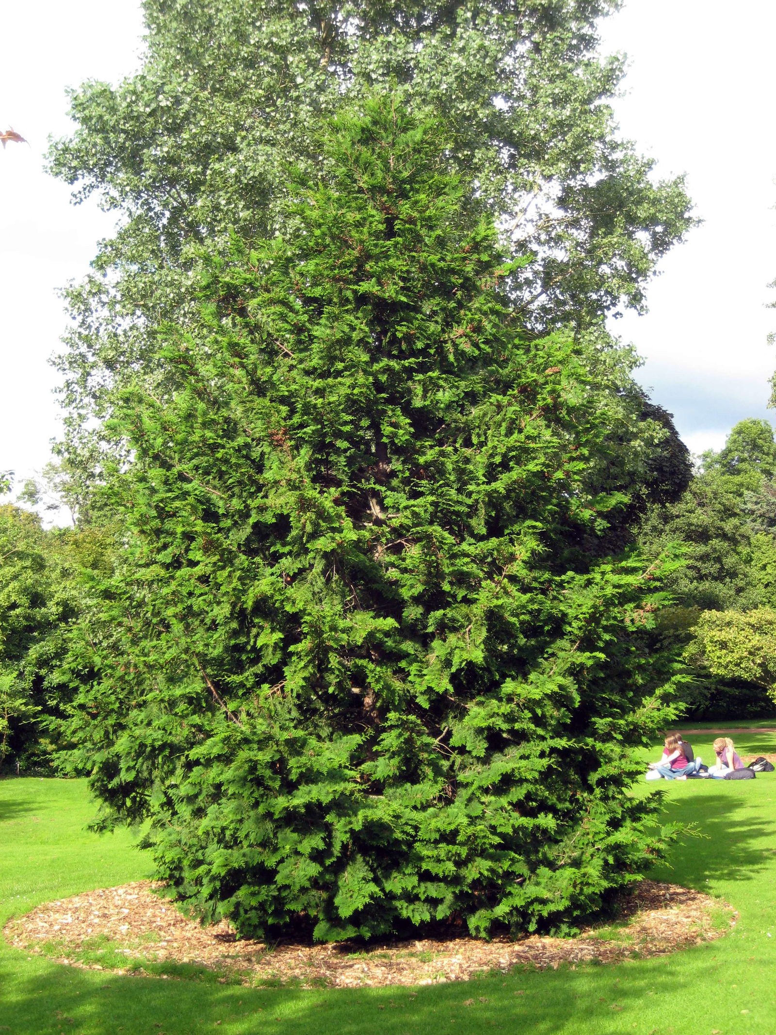 Royal Botanic Garden Edinburgh