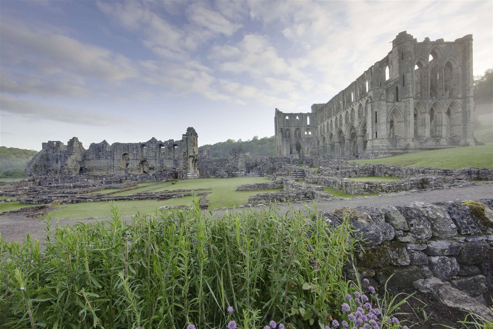 Rievaulx Abbey