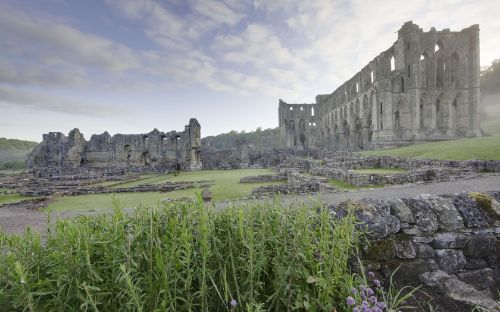 Rievaulx Abbey