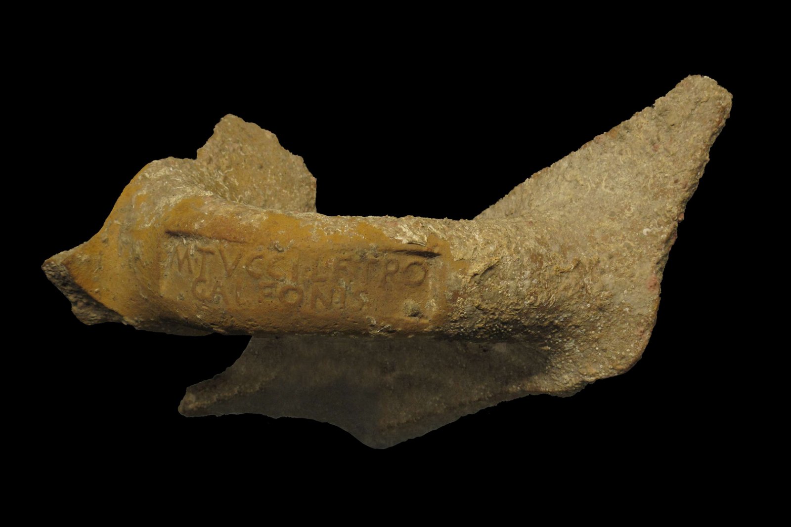 Musée des Docks Romains