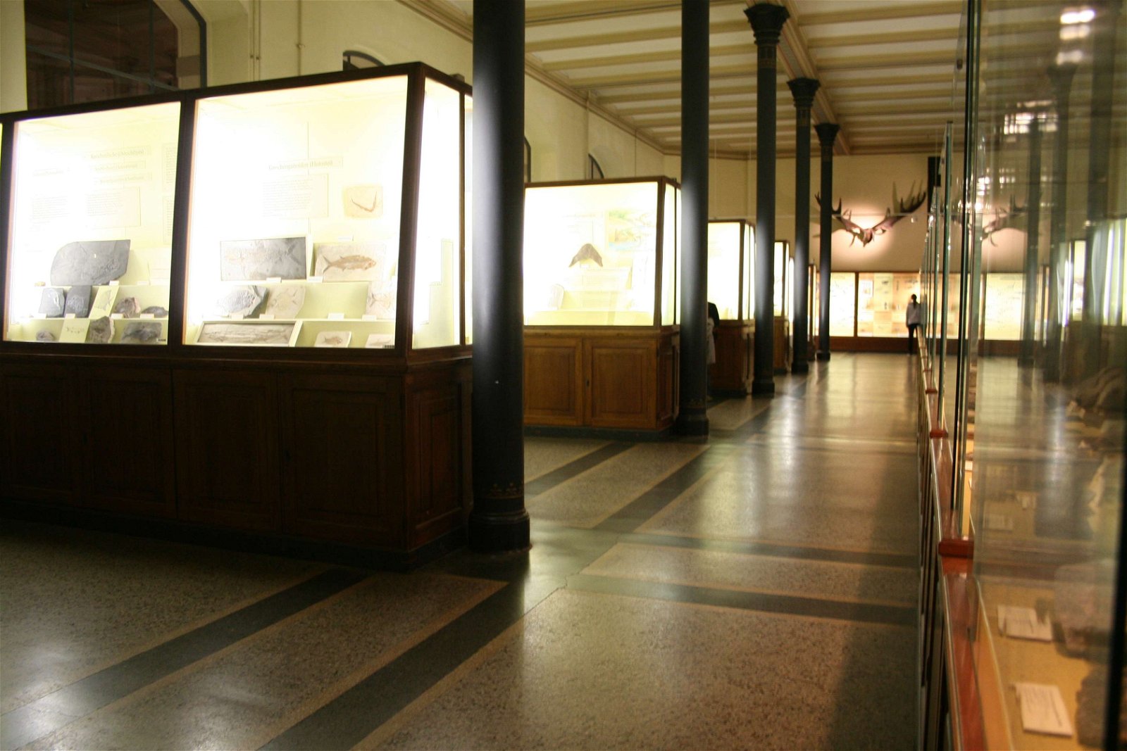 Natural History Museum Berlin