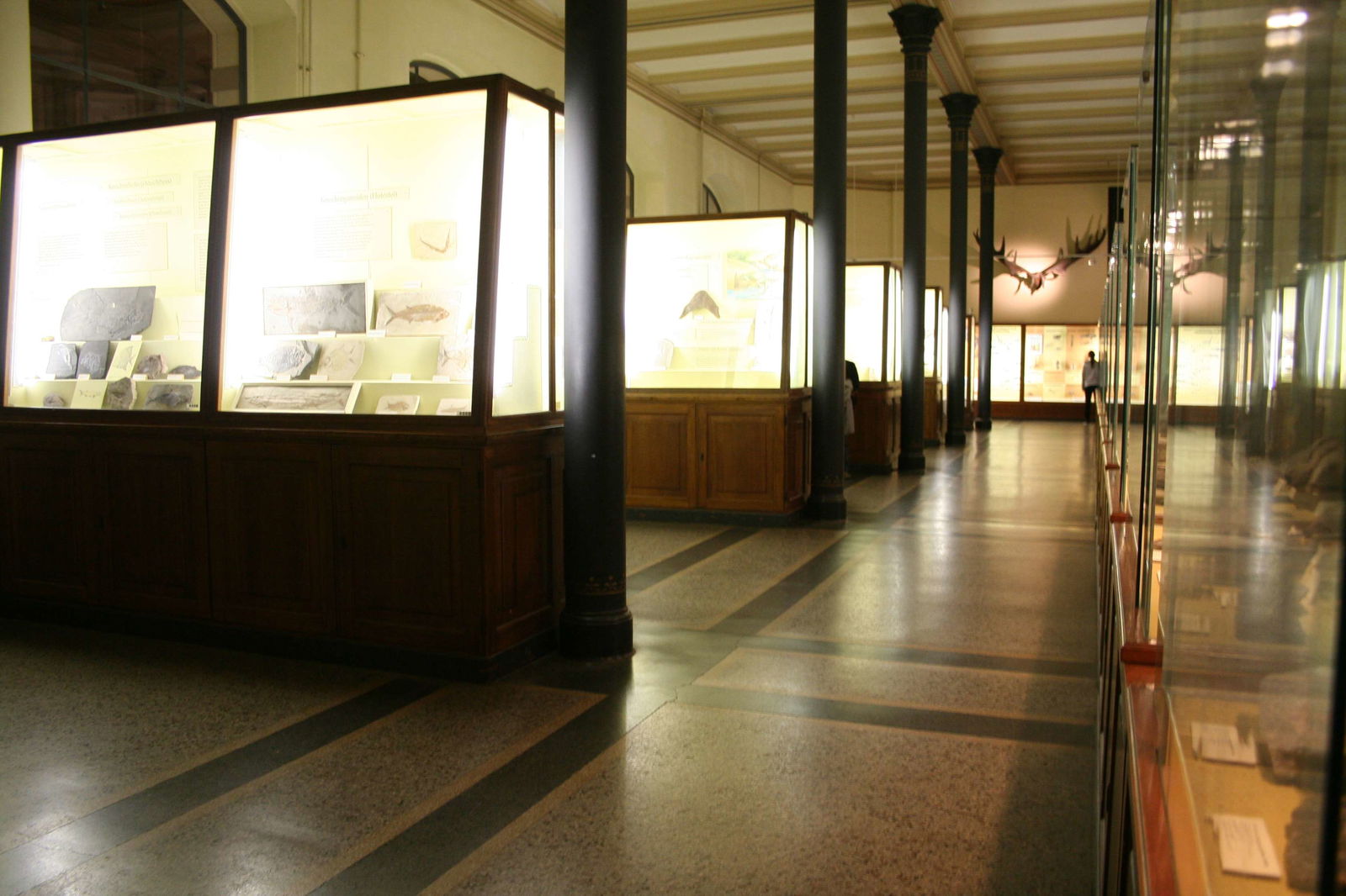 Natural History Museum Berlin