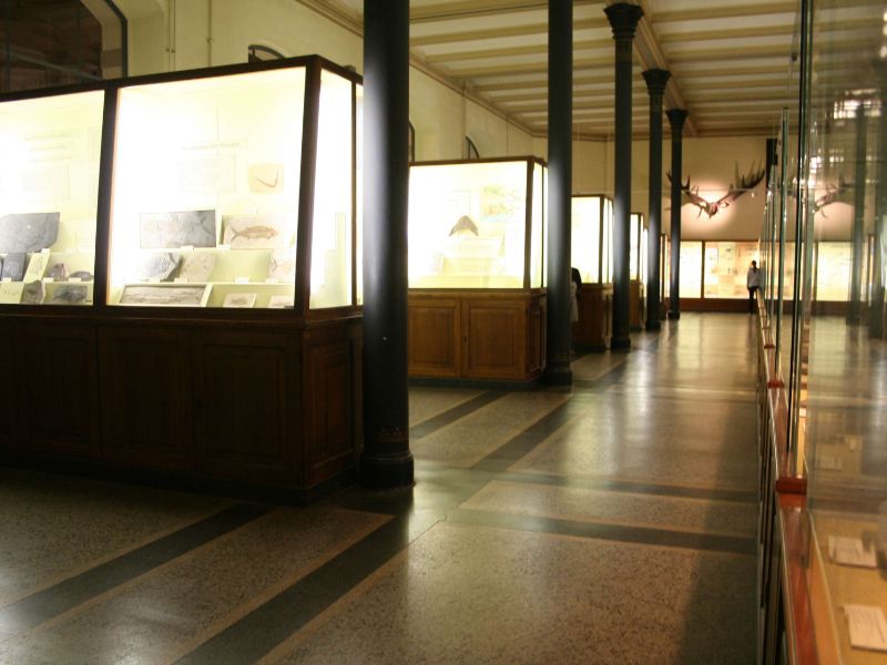 Natural History Museum Berlin