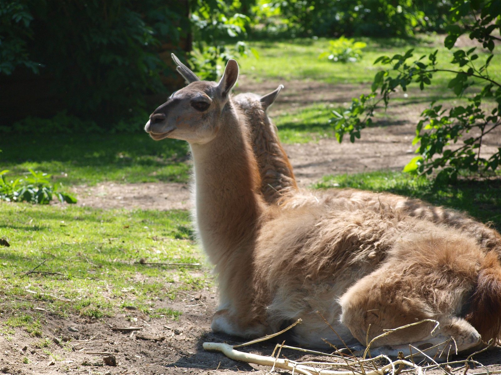 Wroclaw Zoo & Africarium