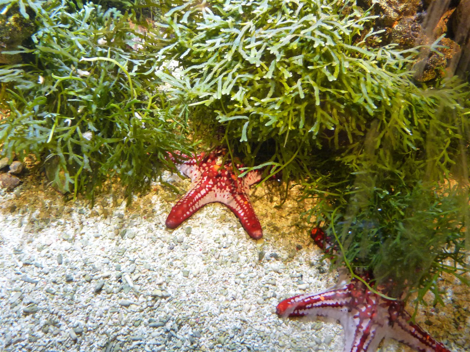 Aquaria Water Museum