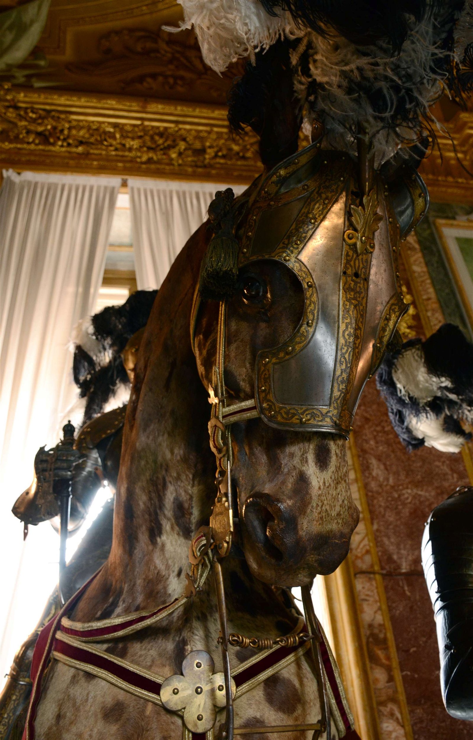 Royal Armoury of Turin