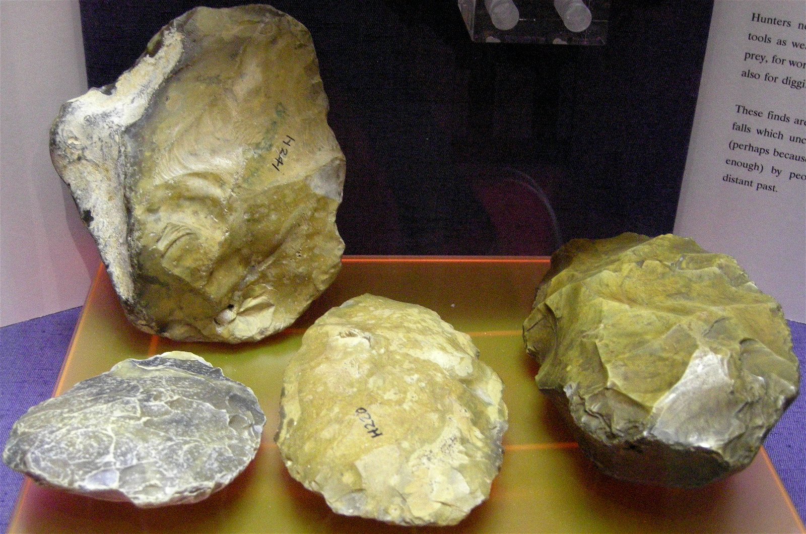 The Seaside Museum, Herne Bay