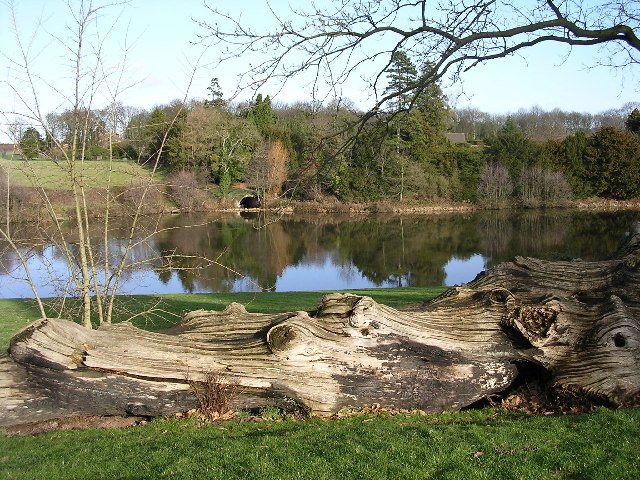 Witley Court and Gardens