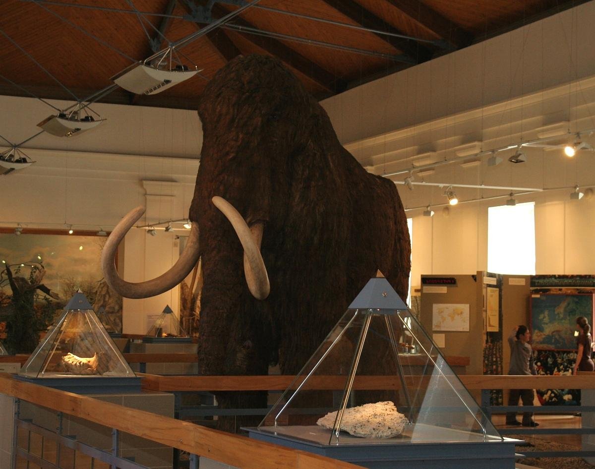 Hungarian Natural History Museum