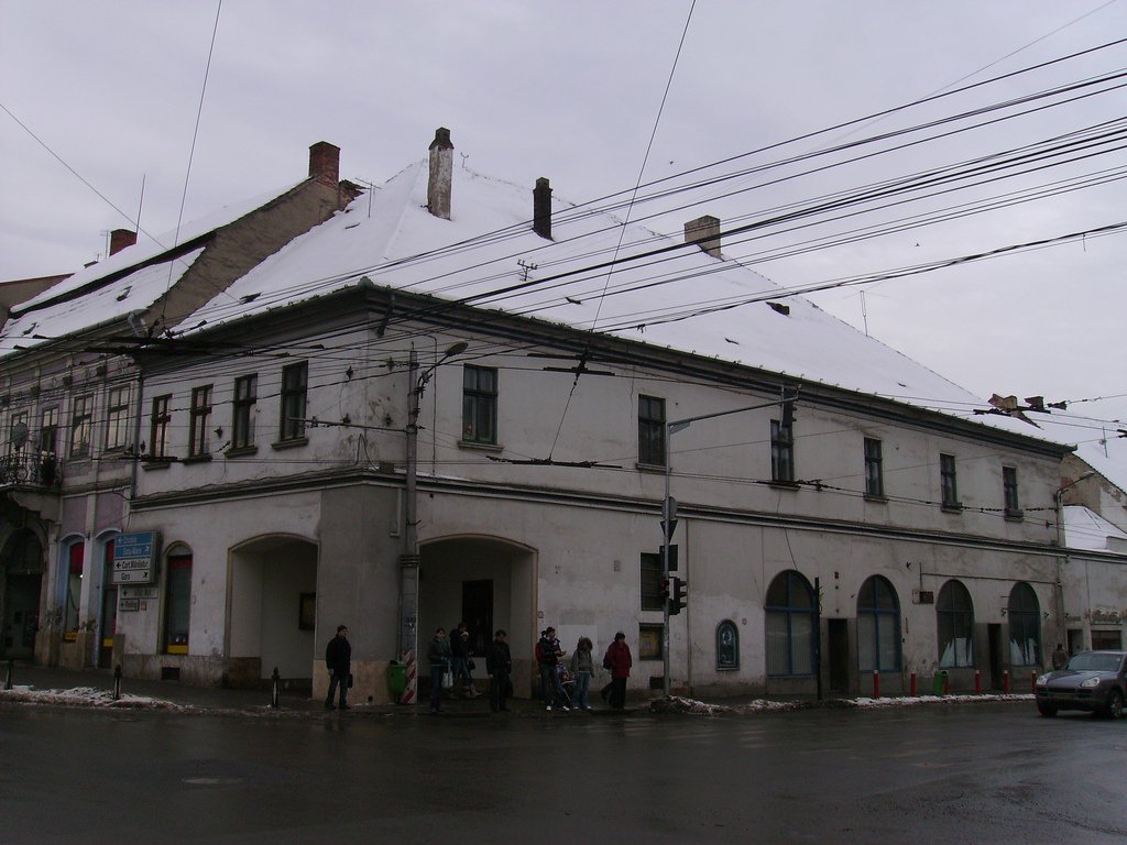 The Pharmacy History Collection - Casa Hintz