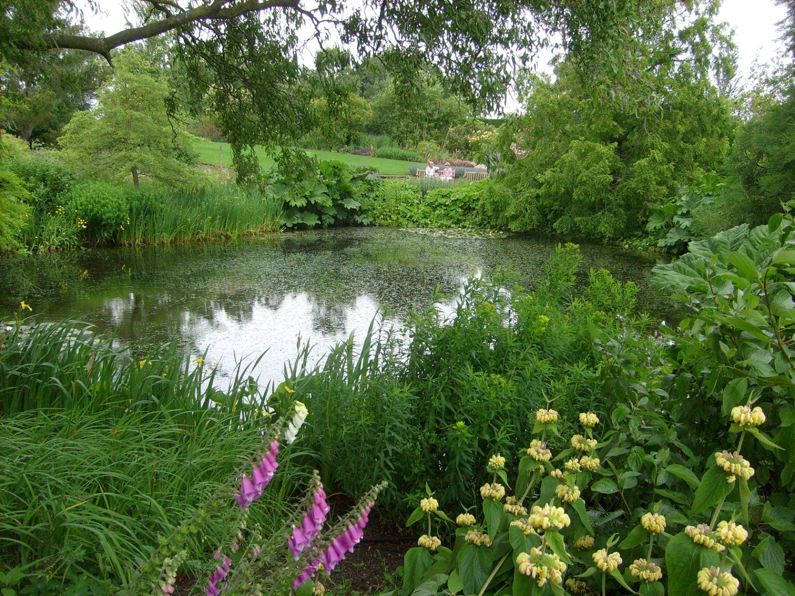 RHS Garden Hyde Hall