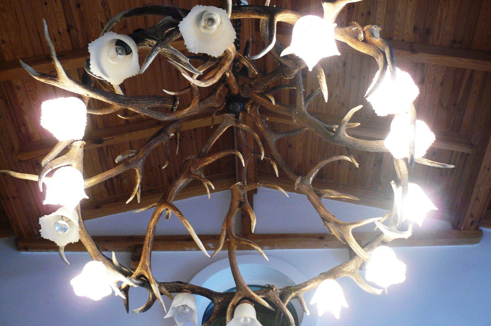 Museum of Natural Environment and Hunting