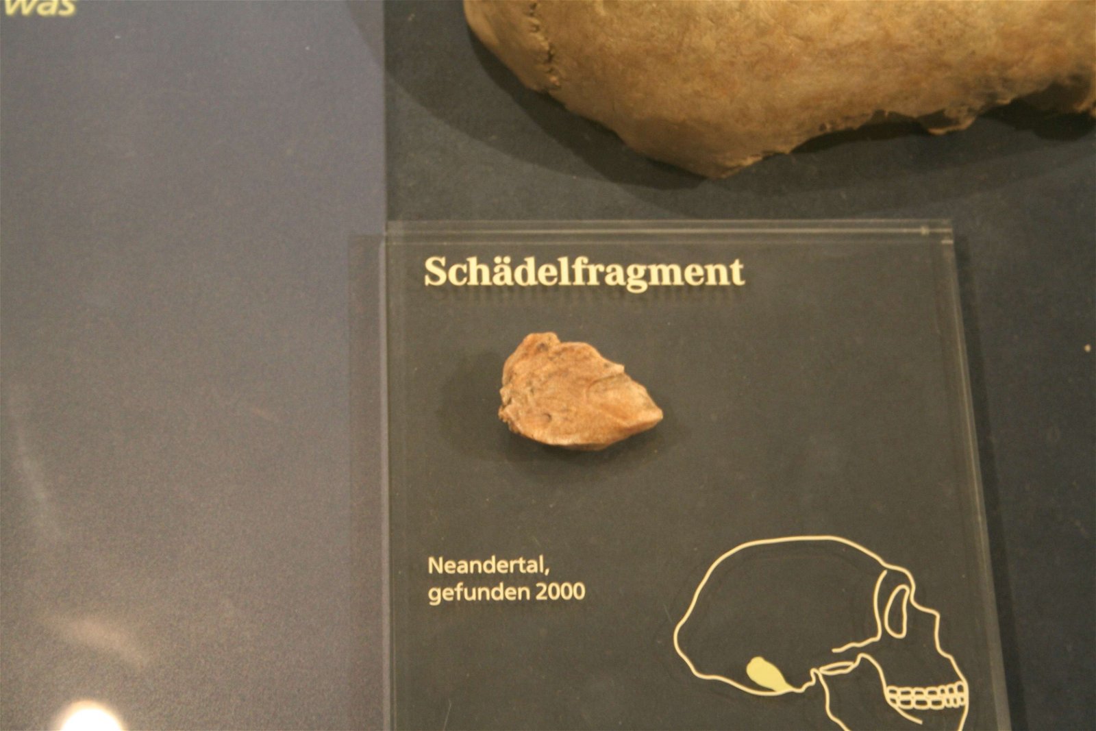 Neanderthal Museum